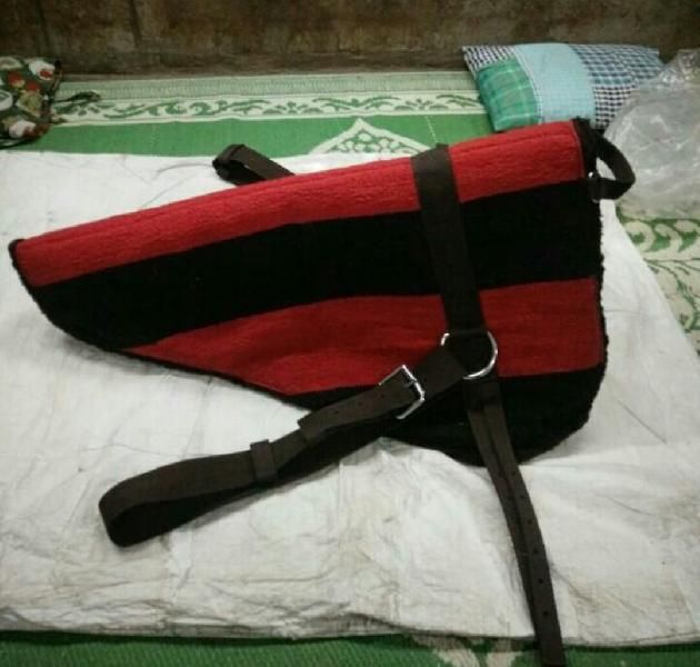 Horse Saddle Pads 04