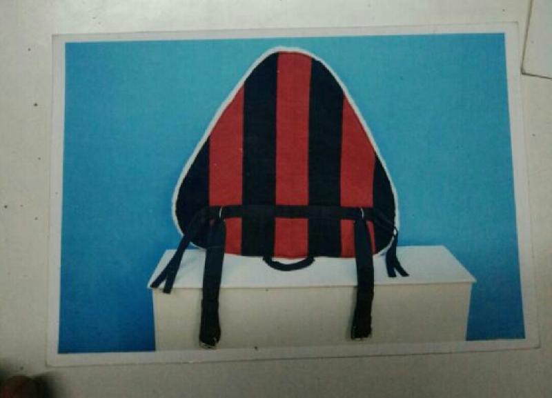 Horse Saddle Pads 06