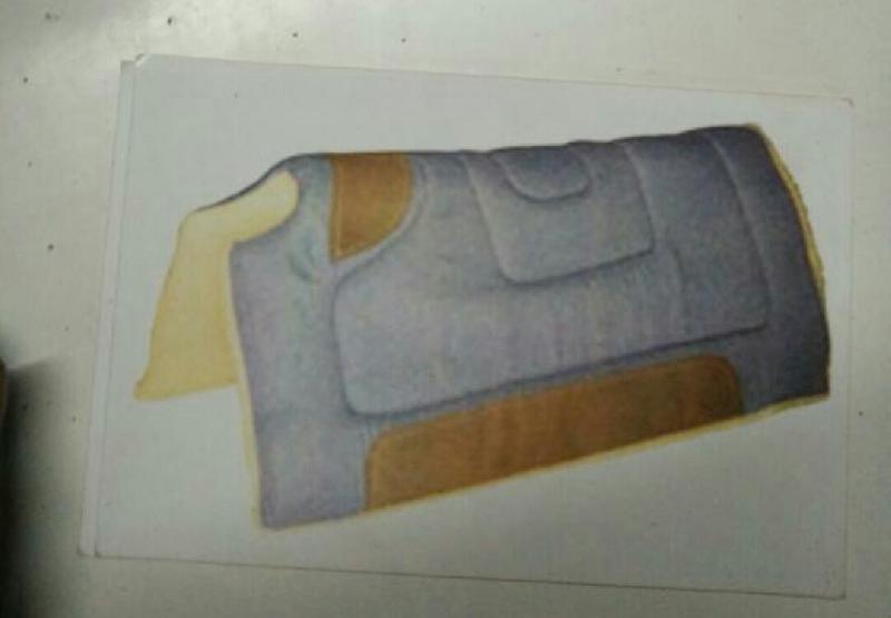 Horse Saddle Pads 14