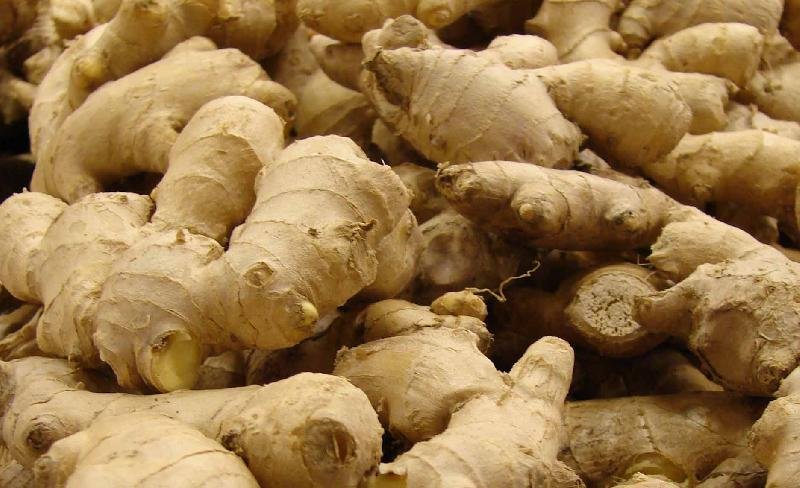 Ginger Extract 02