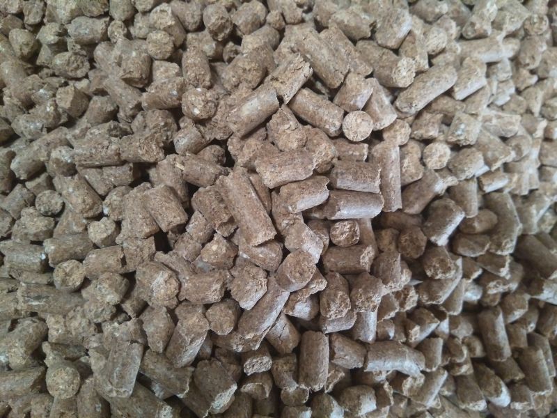Sudana Cattle Feed 02