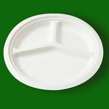 Disposable Paper Plate 02