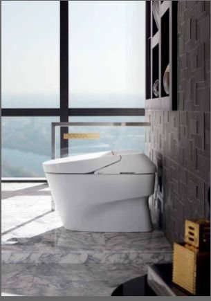 Toto Sanitary Ware 06