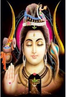 Digital Poster Tiles 17