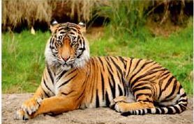 Digital Poster Tiles 20