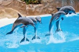 Digital Poster Tiles 21