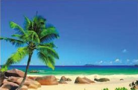 Digital Poster Tiles 23