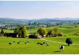 Digital Poster Tiles 28