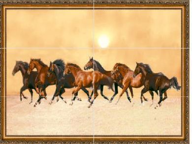 Digital Poster Tiles 40