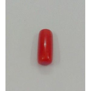 RC3 Red Coral Gemstone