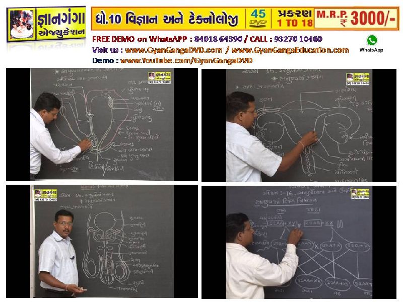 Demo 14- 10th Standard Gujarati Medium Science & Technology 45 DVD Set