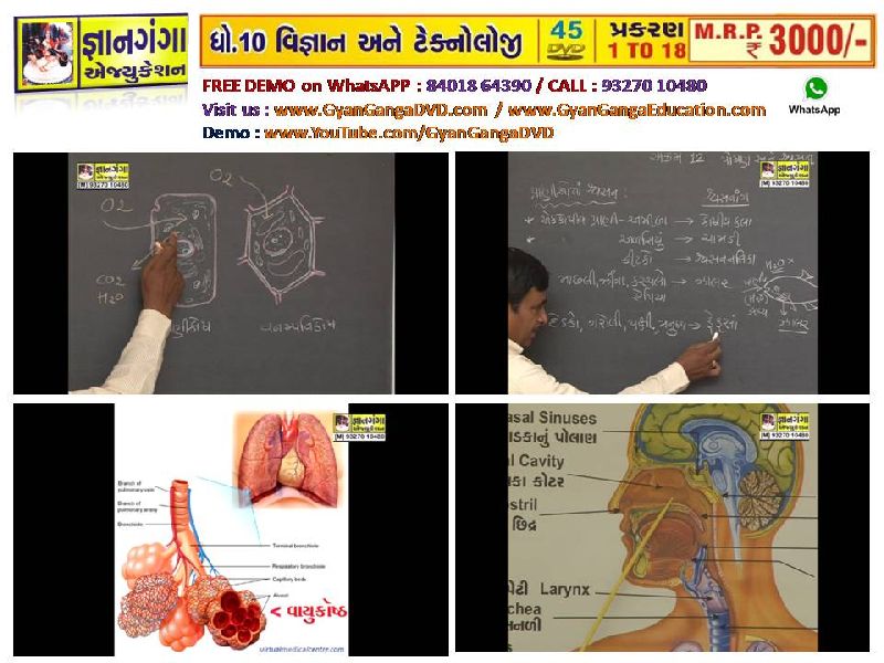 Demo 15- 10th Standard Gujarati Medium Science & Technology 45 DVD Set