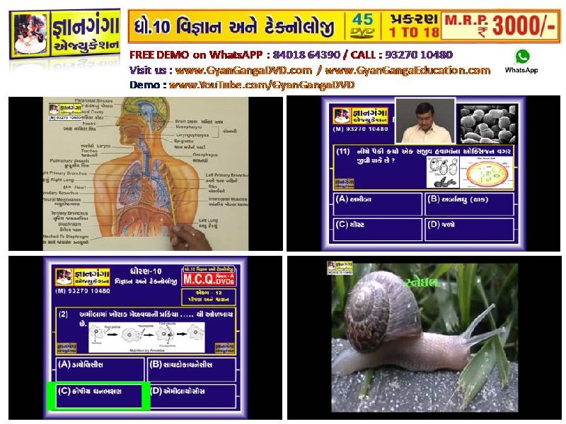 Demo 16- 10th Standard Gujarati Medium Science & Technology 45 DVD Set
