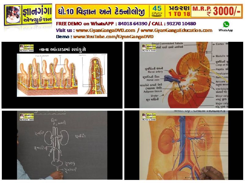 Demo 17- 10th Standard Gujarati Medium Science & Technology 45 DVD Set