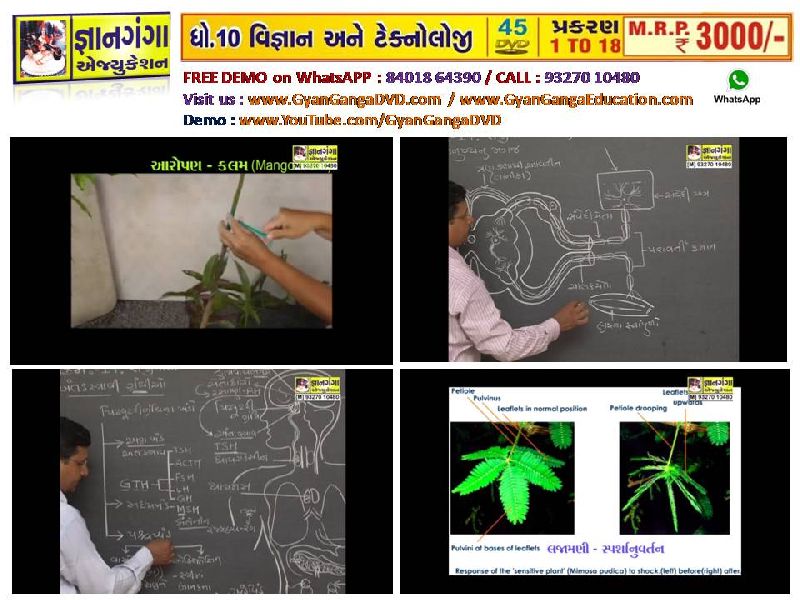 Demo 18- 10th Standard Gujarati Medium Science & Technology 45 DVD Set