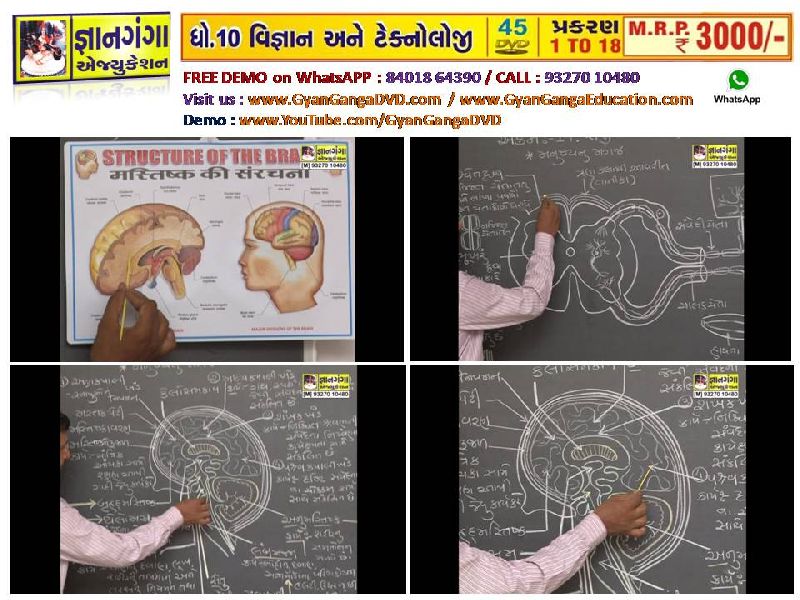 Demo -7- 10th Standard Gujarati Medium Science & Technology 45 DVD Set