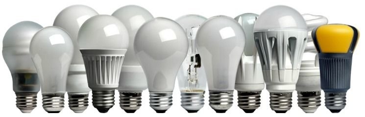 LED Bulbs
