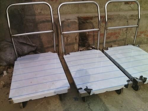 Stainless Steel Platform Trolley 01
