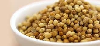 Brown Coriander Seeds 02