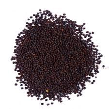 Mustard Seeds 01