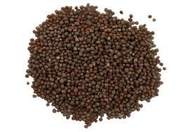 Mustard Seeds 02