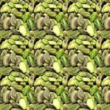 Pistachio Kernels 02