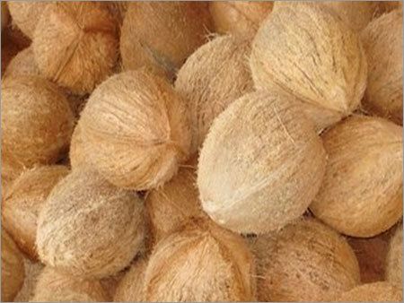 Semi Husked Coconut 02