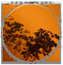 Super Mirror Sheet 03