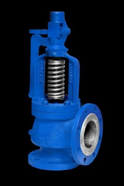 Safety Valve 01