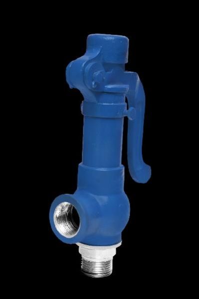 Safety Valve 04