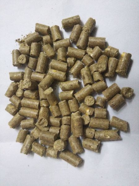 Nutri Gold Cattle Feed (Pellet) 01