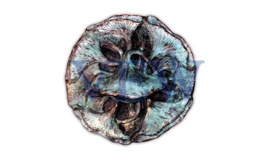 Flower Scupper 03