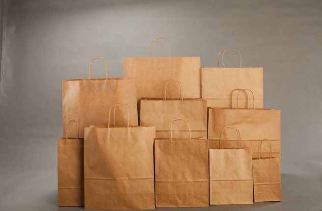 Kraft Paper Bags 05