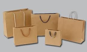 Paper Bag 01