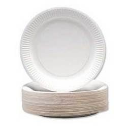 Plane Paper Plates 02