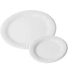 Plane Paper Plates 03