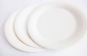 Plane Paper Plates 05