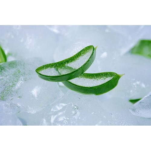 Aloe Vera Pulp 02