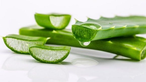 Aloe Vera Pulp 05
