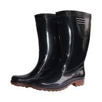 Safety Gumboot