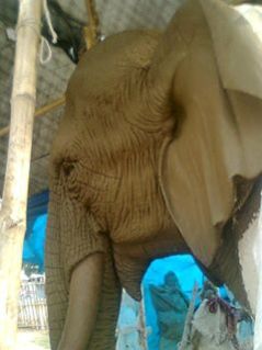 Unfired Clay Sculpture 04