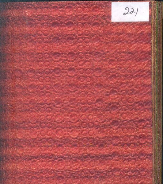 221 Tiger & Finger Print Paper