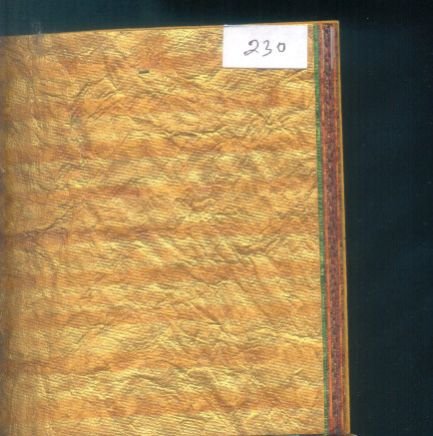 230 Tiger & Finger Print Paper