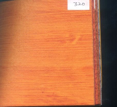 320 Embossing Card Sheet