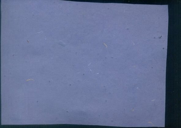 Seed Bag Tag Paper 01