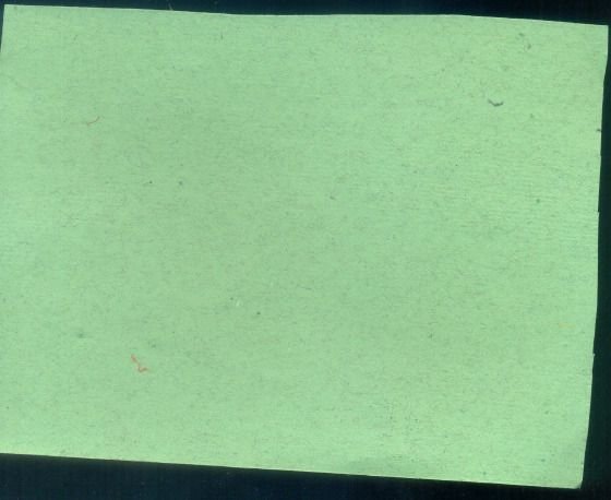 Seed Bag Tag Paper 02