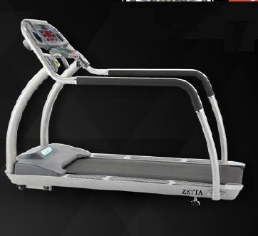 Zeeta Commercial Motorized Treadmill