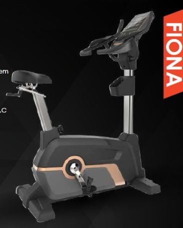 Fiona Upright Bike