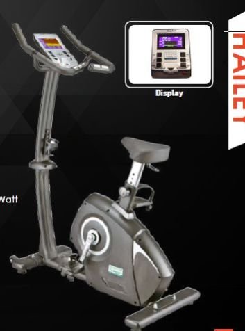 Hailey Upright Bike