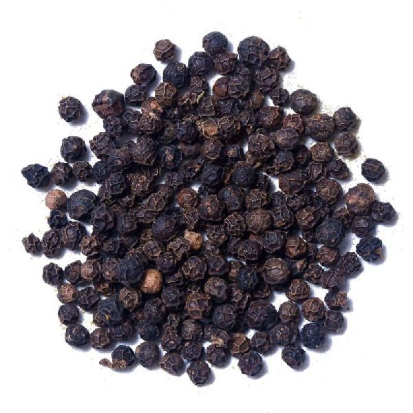 Black Pepper 01